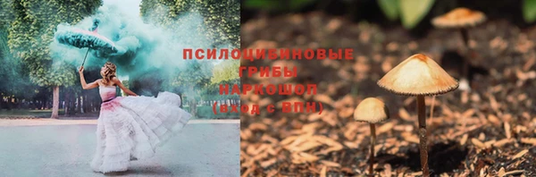 ешки Алексеевка