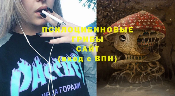 ешки Алексеевка