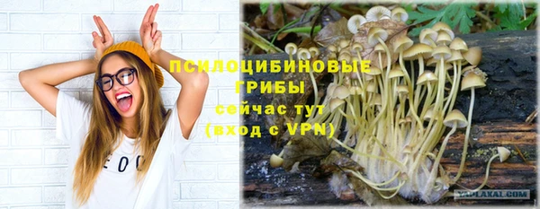 ешки Алексеевка