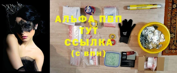 индика Рославль